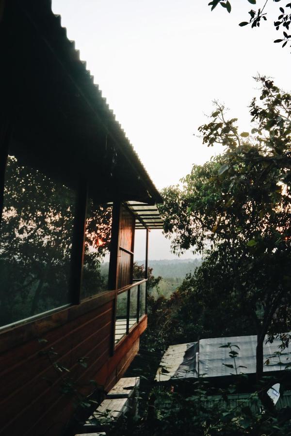 Amazonika Boutique Resort 阿伯来 外观 照片