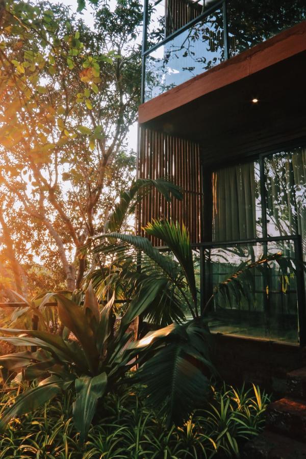 Amazonika Boutique Resort 阿伯来 外观 照片