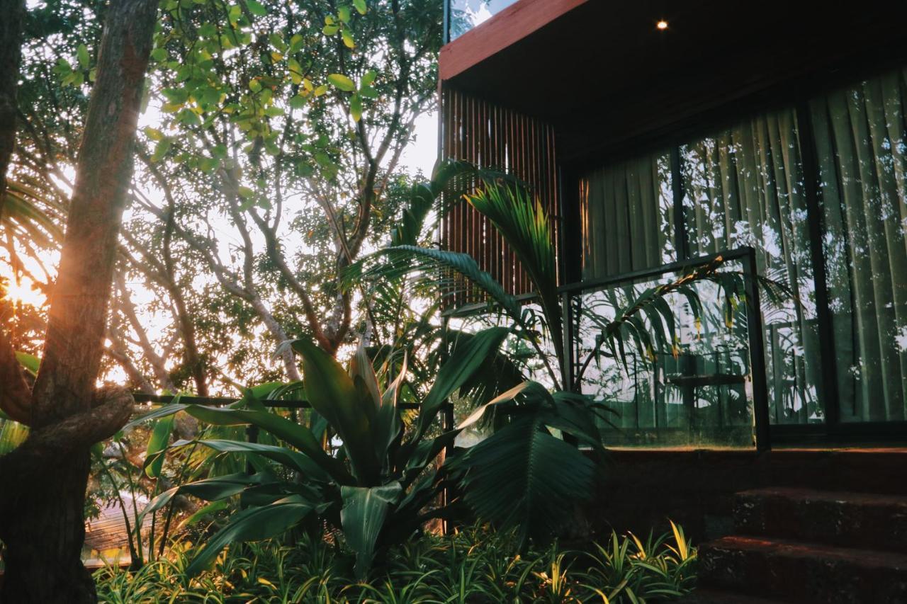 Amazonika Boutique Resort 阿伯来 外观 照片