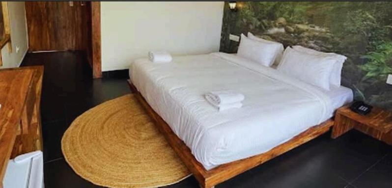 Amazonika Boutique Resort 阿伯来 外观 照片